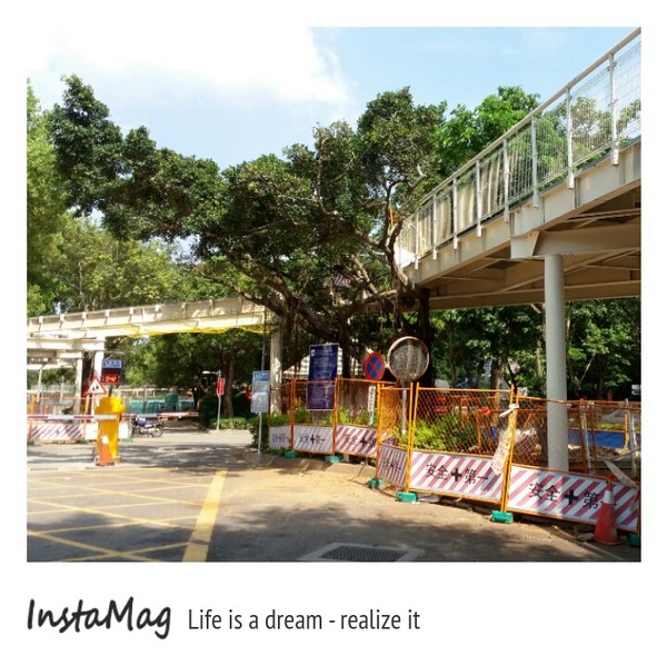 八卦山大佛風景區：【彰化景點】八卦山大佛天空步道