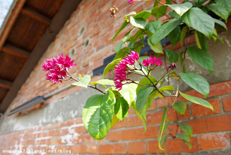 廖西瓜@宜蘭火車站、丟丟噹公園飛天火車、幾米主題廣場46
