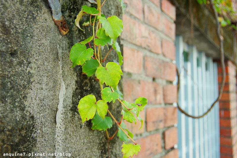 廖西瓜@宜蘭火車站、丟丟噹公園飛天火車、幾米主題廣場42