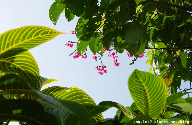 廖西瓜@宜蘭火車站、丟丟噹公園飛天火車、幾米主題廣場50