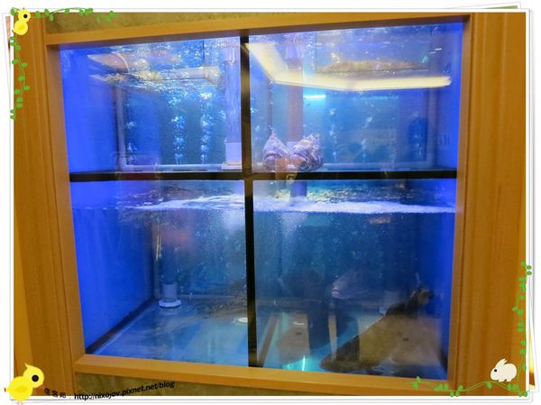 台北-朝桂餐廳 Parents Restaurant 港式飲茶餐廳-淡清不失味的港式飲茶-裝潢