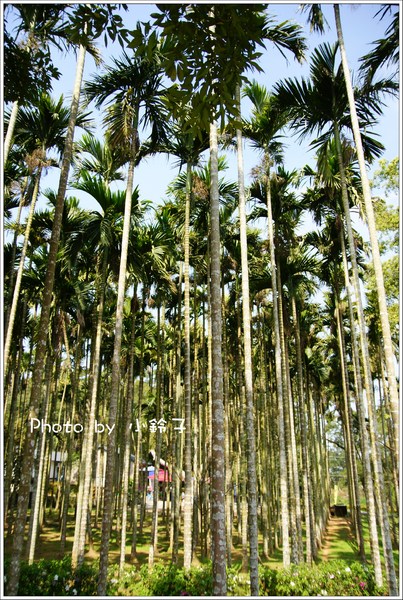 客家大院：客家大院