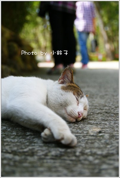 客家大院：客家大院