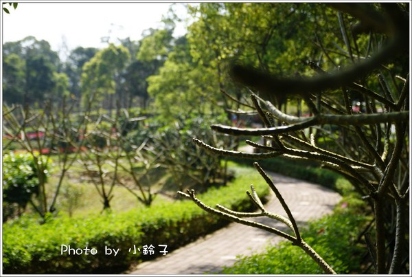 客家大院：客家大院