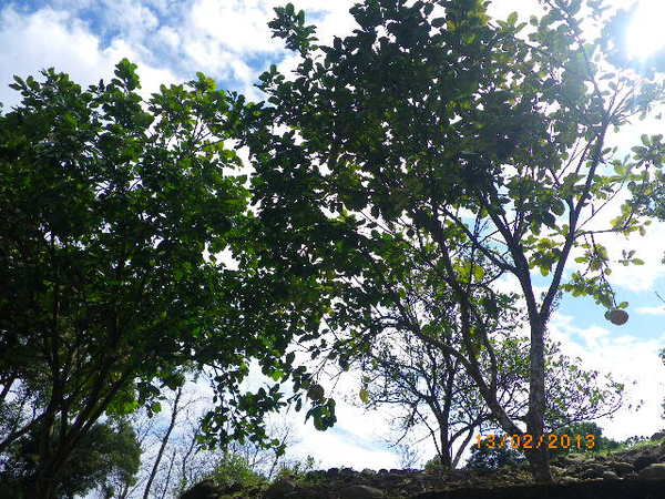 客家大院：年初四[客家大院]來走春