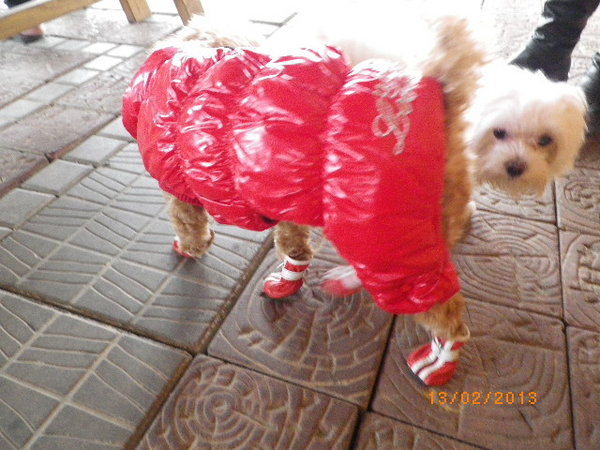 客家大院：年初四[客家大院]來走春