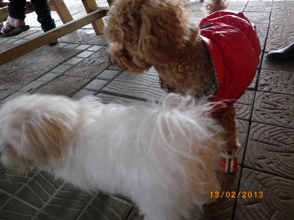 客家大院：年初四[客家大院]來走春