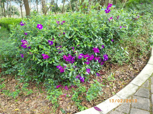 客家大院：年初四[客家大院]來走春