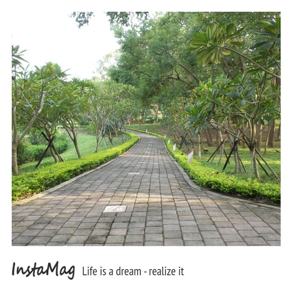 客家大院：【苗栗景點】桐花樂活公園~客家大院