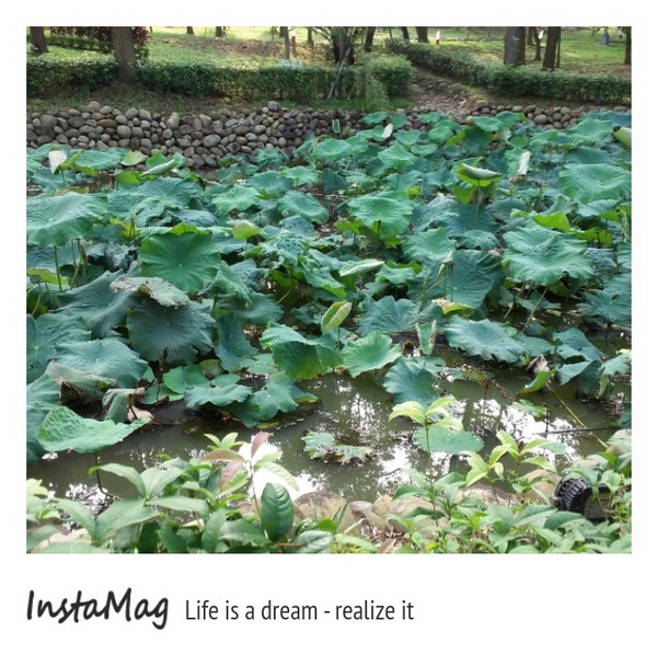 客家大院：【苗栗景點】桐花樂活公園~客家大院