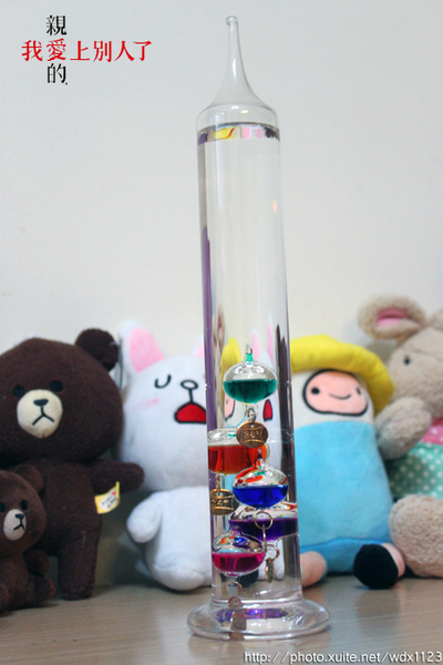 秋紅谷廣場：偶像劇『 親愛的，我愛上別人了』✪台中景點✪拍拍走~102.10.08更新