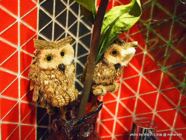 Huku幸福食尚創作料理:【食記】台中哪裡好吃-HuKu幸福時尚創作料理@西區BRT中正國小 : 下一站,Huku~讓人洋溢於幸福中的貓頭鷹主題餐廳!