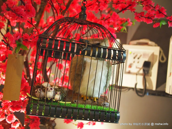 Huku幸福食尚創作料理:【食記】台中哪裡好吃-HuKu幸福時尚創作料理@西區BRT中正國小 : 下一站,Huku~讓人洋溢於幸福中的貓頭鷹主題餐廳!