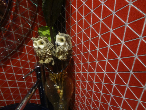 Huku幸福食尚創作料理：1020922[官本金文愛台灣]滿滿的貓頭鷹二訪Huku幸福食尚創作料理一直在進步幸福小確幸