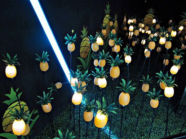 IMG_5954 [640x480].JPG