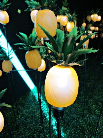 IMG_5934 [640x480].JPG