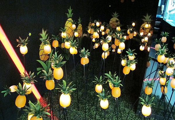 IMG_59312 [640x480].JPG