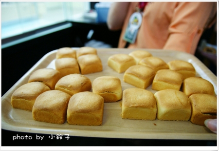 維格餅家:是誰住在深海的大鳳梨裡~「維格餅家」