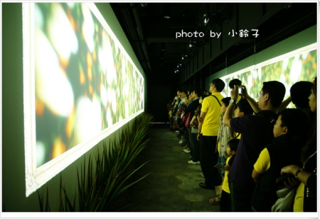 維格餅家:是誰住在深海的大鳳梨裡~「維格餅家」