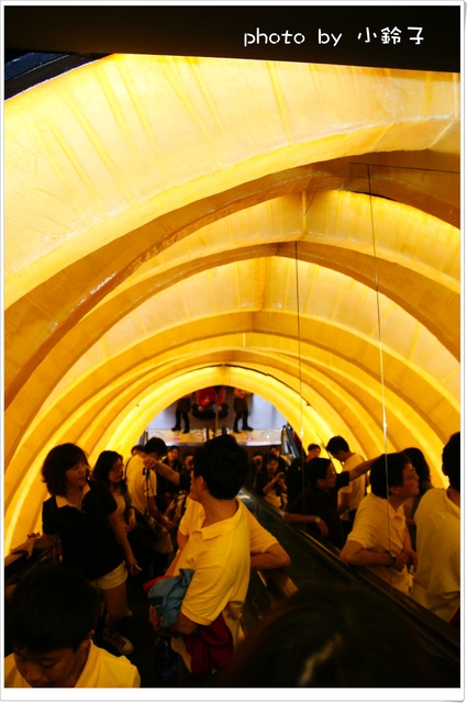 維格餅家:是誰住在深海的大鳳梨裡~「維格餅家」