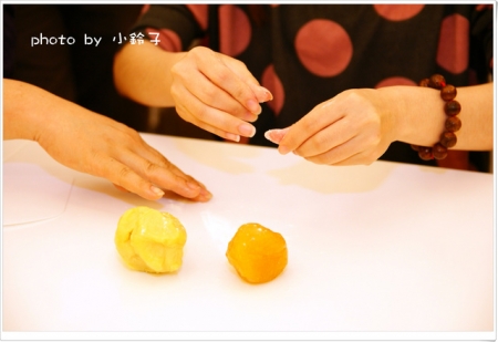 維格餅家:是誰住在深海的大鳳梨裡~「維格餅家」