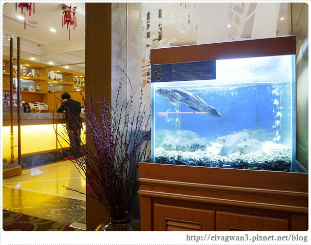 中壢-古華花園飯店-明皇樓-掛爐片皮鴨-蘇州任您饗-中菜吃到飽-單點式-旅展優惠餐券-大中華料理-6-775-1