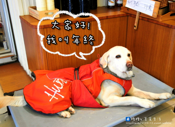 428cafe’:〖台中│美食〗428cafe’❤ 鄰近於科博館的小咖啡館,隱藏著超療癒~吸睛指數破錶的小熊維尼鬆餅,有原味、巧克力及抹茶三種口味唷!!