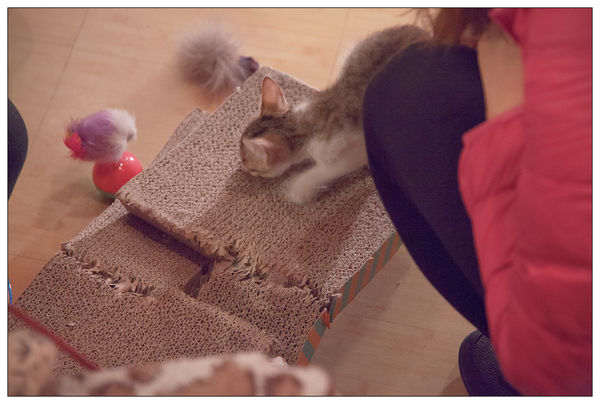 米亞歐隨義小廚