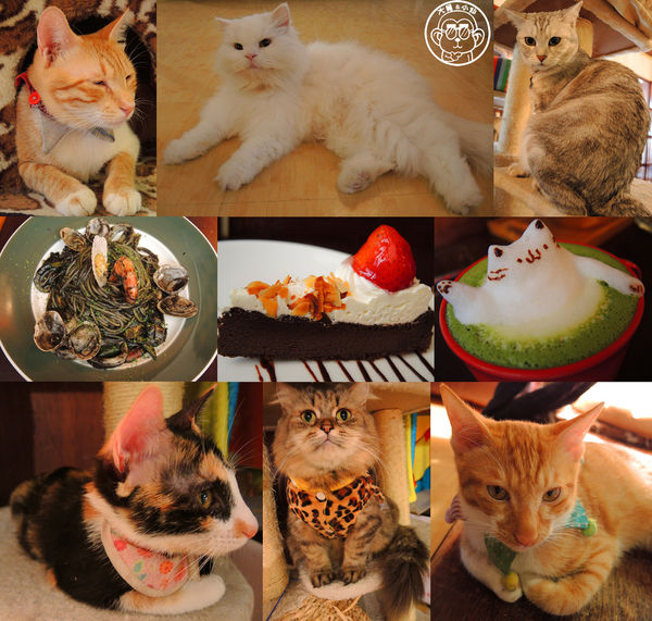 Miao米亞歐隨義小廚：呷飽祙【台北內湖･Miao米亞歐 隨義小廚】巷弄裡的寵物當家義式料理