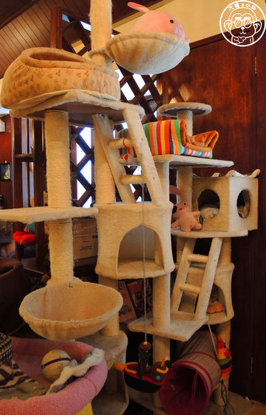 Miao米亞歐隨義小廚：呷飽祙【台北內湖･Miao米亞歐 隨義小廚】巷弄裡的寵物當家義式料理