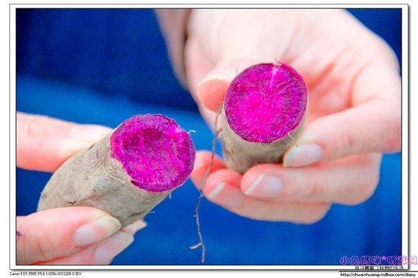 清水地熱公園(Qing-Shui Geothermal Pools)：2016宜蘭景點-清水地熱/重新營運/地熱煮蛋、玉米、地瓜/泡腳池
