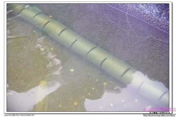 清水地熱公園(Qing-Shui Geothermal Pools)：2016宜蘭景點-清水地熱/重新營運/地熱煮蛋、玉米、地瓜/泡腳池