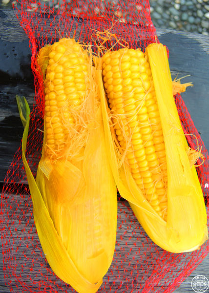 清水地熱廣場:作伙來企投【宜蘭・清水地熱】煮蛋泡腳的親子旅遊好去處