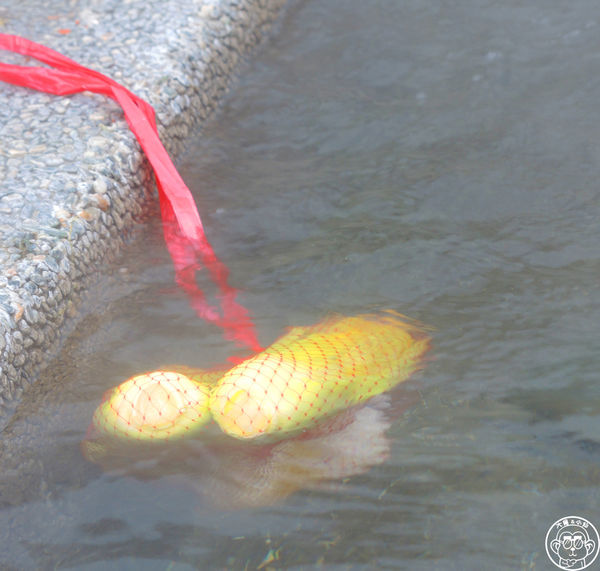 清水地熱廣場:作伙來企投【宜蘭・清水地熱】煮蛋泡腳的親子旅遊好去處