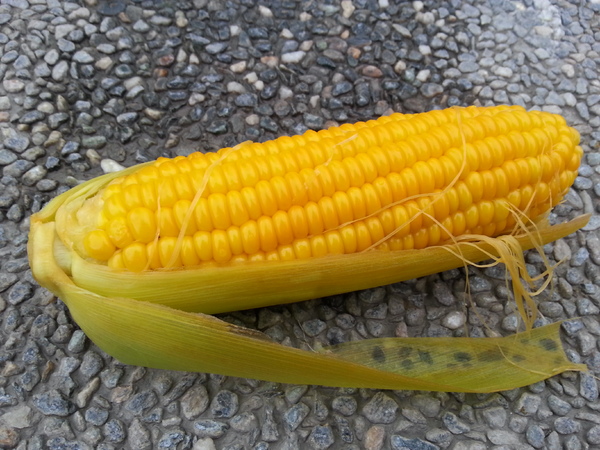 清水地熱公園(Qing-Shui Geothermal Pools)：宜蘭三星地熱公園煮玉米.免費溫泉可泡腳