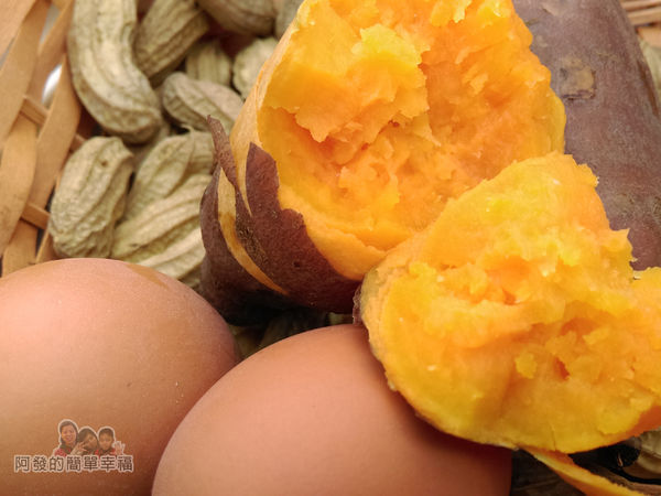 清水地熱38-溫泉地瓜