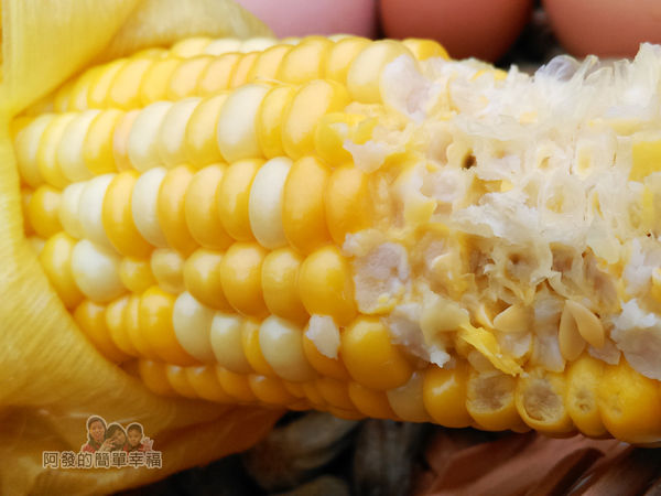 清水地熱35-水果玉米特寫有夠甜