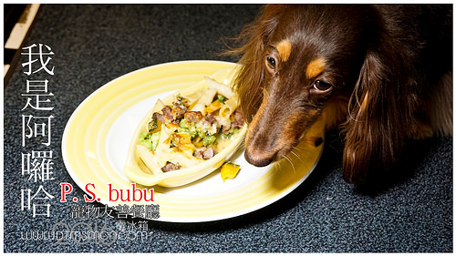 PS bubu00.jpg
