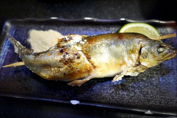 古亭魚壽司:台北古亭。魚壽司 油花超美!對海鮮挑嘴的人客歡迎來