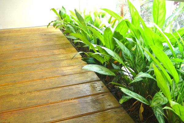 cm20131016___f6f2e10b9fcbfefcbe34dc17c59