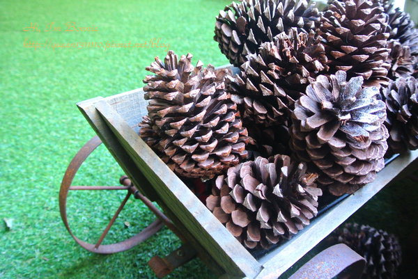 cm20131016___85998040884e7ba935b1cde50d4