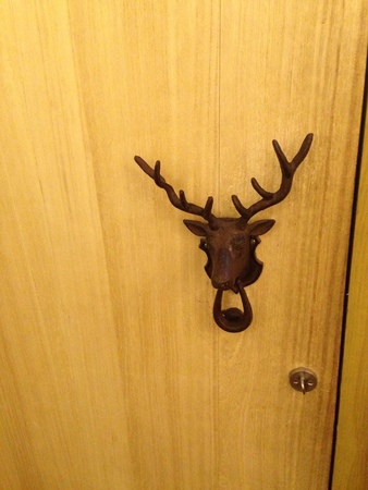 11056906_1039855519362923_1797466963_n