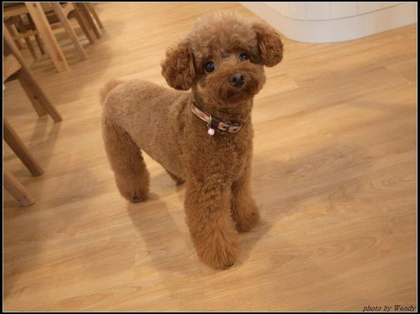 1176366_657951974215944_1196384254_n