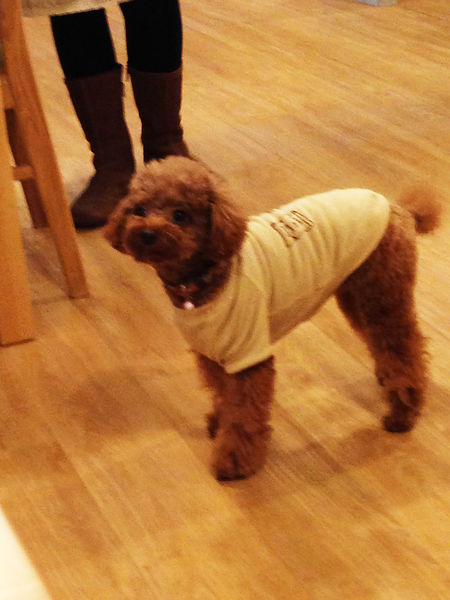 2014-01-24 17.56.05.jpg