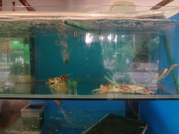 cm20130917___d2582d7f938d1d8a01eb8e852c5