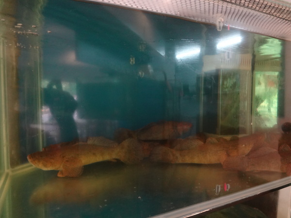 cm20130917___c67959d980fc615ce5e34e67350