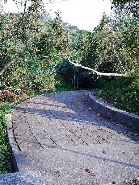 相片 13-8-17 下午1 09 07.jpg