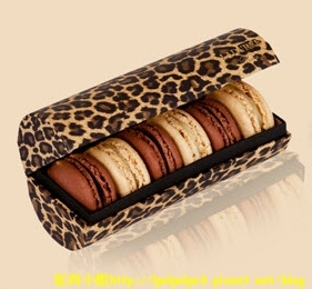 豹紋禮盒1