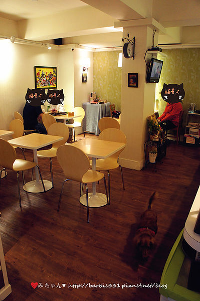 Sam咖啡小館：♥吃吧~台北ღ松山區♥初訪 小店高品質!!超Cute拉花咖啡~好療癒!!☆Sam 咖啡☆ (動物友善、捷運、下午茶)