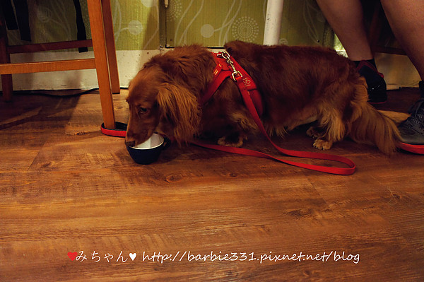 Sam咖啡小館：♥吃吧~台北ღ松山區♥初訪 小店高品質!!超Cute拉花咖啡~好療癒!!☆Sam 咖啡☆ (動物友善、捷運、下午茶)